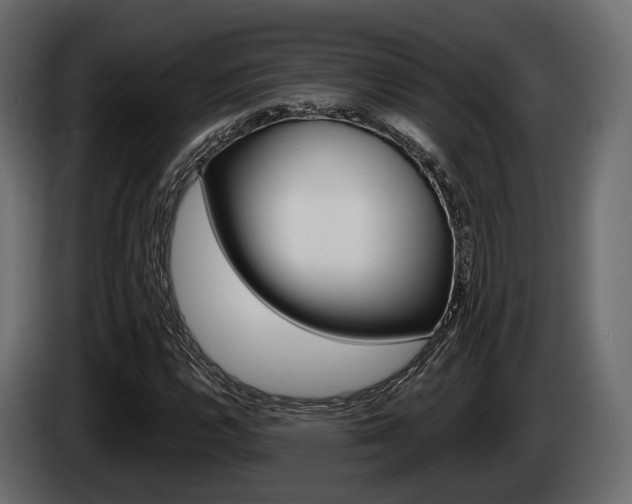 X0000085021112200703050931