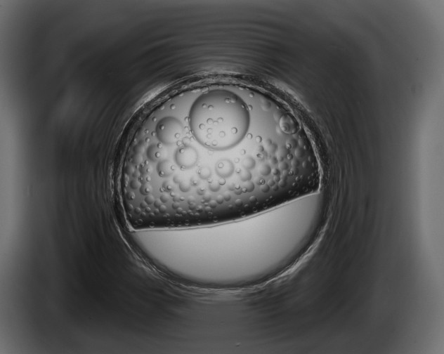 X0000085021113200703050931
