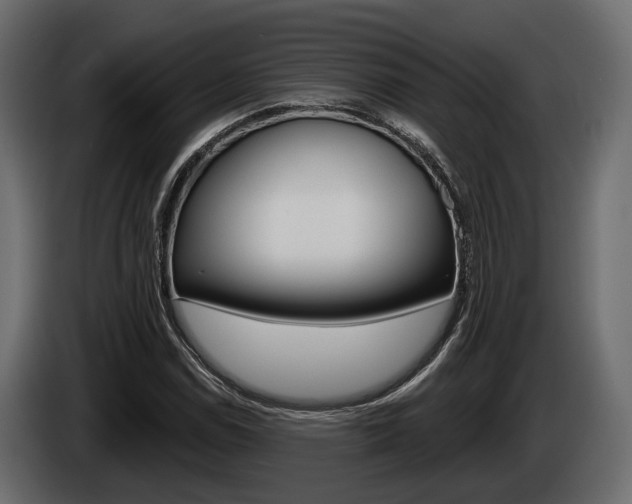 X0000085021114200703050931