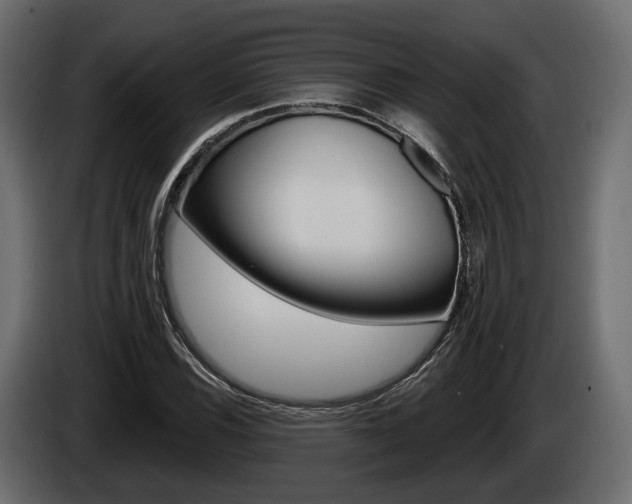 X0000085021116200703050931
