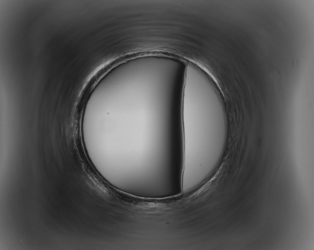 X0000085021119200703050931