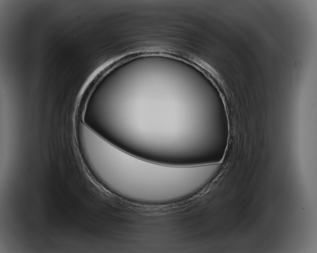 X0000085021120200703050931