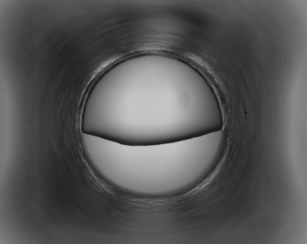 X0000085021121200703050931