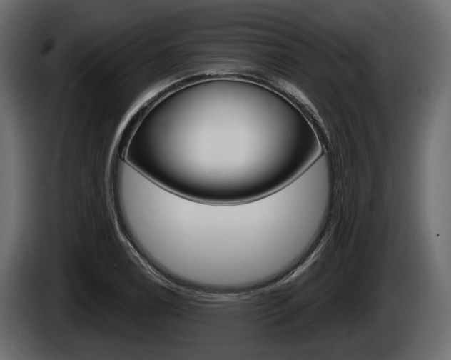 X0000085021122200703050931