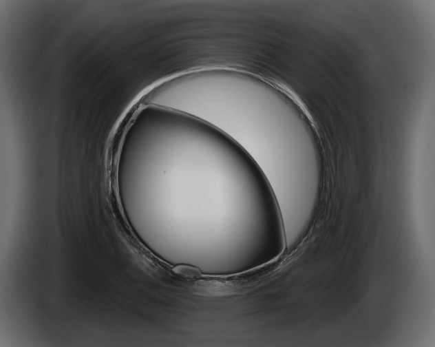 X0000085021124200703050931