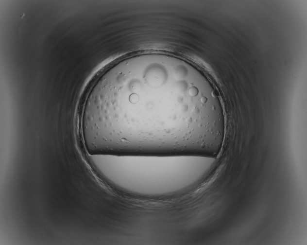 X0000085021125200703050931