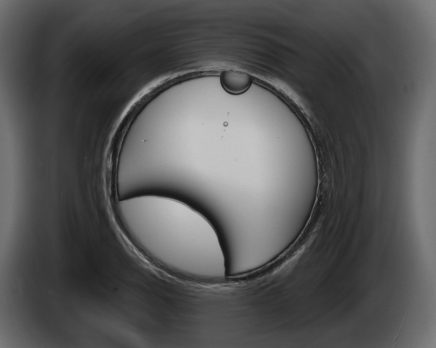 X0000085021126200703050931