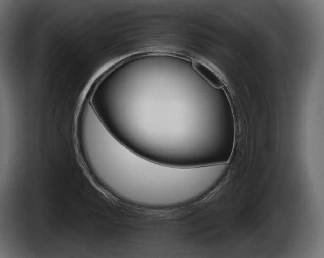 X0000085021128200703050931