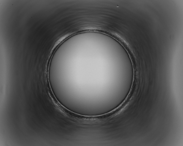 X0000085021129200703050931