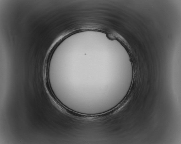 X0000085021130200703050931
