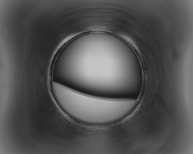 X0000085021133200703050931