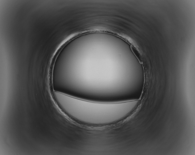 X0000085021134200703050931