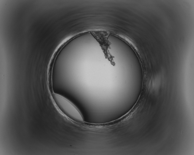 X0000085021135200703050931