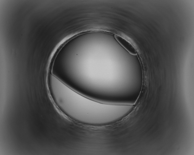 X0000085021136200703050931