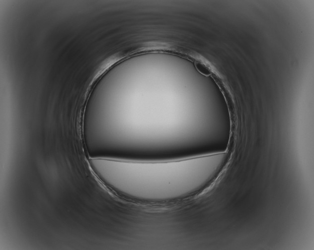 X0000085021137200703050931