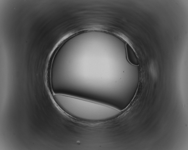 X0000085021139200703050931