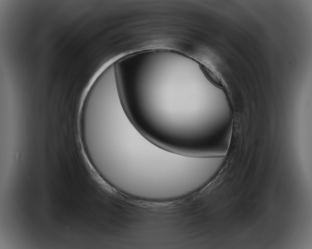 X0000085021140200703050931