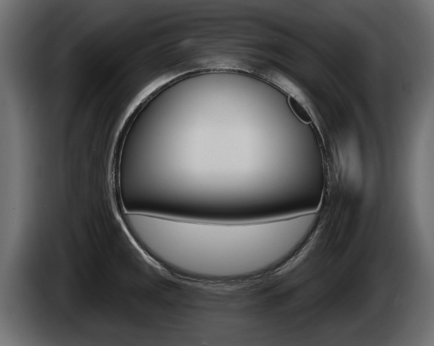 X0000085021141200703050931