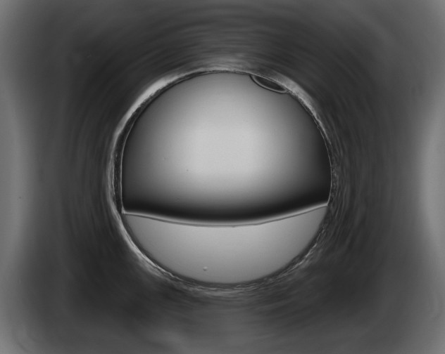X0000085021147200703050931