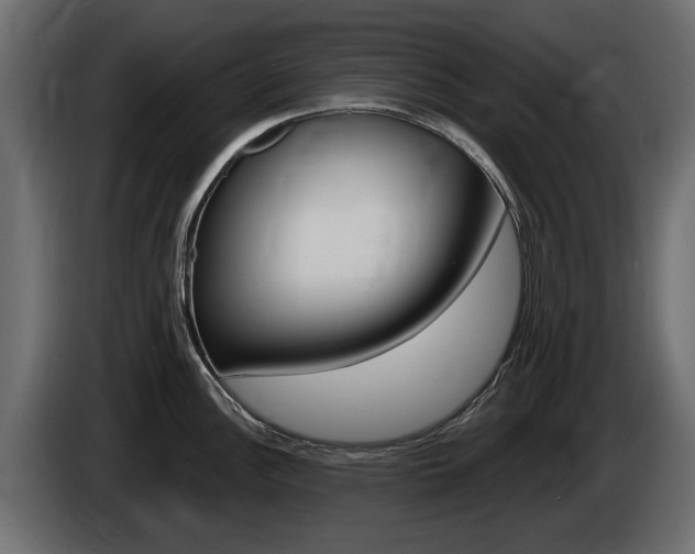 X0000085021148200703050931