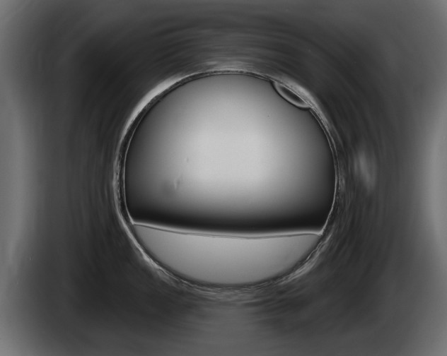X0000085021149200703050931