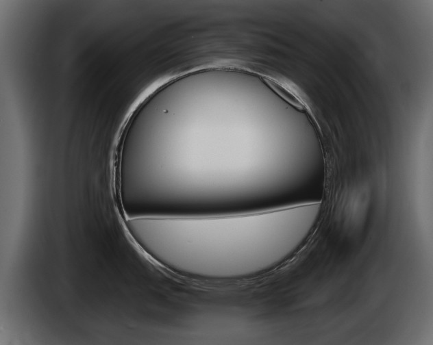 X0000085021151200703050931