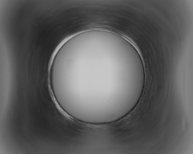X0000085021152200703050931