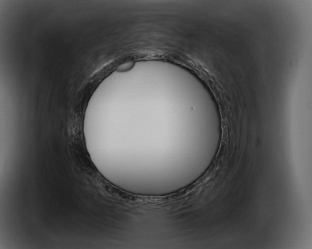 X0000085021158200703050931