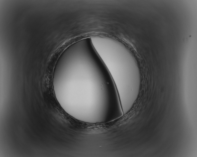 X0000085021159200703050931