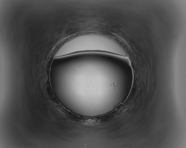 X0000085021160200703050931