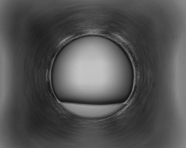 X0000085021161200703050931