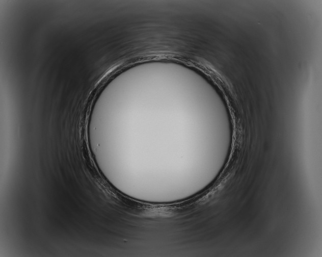 X0000085021162200703050931
