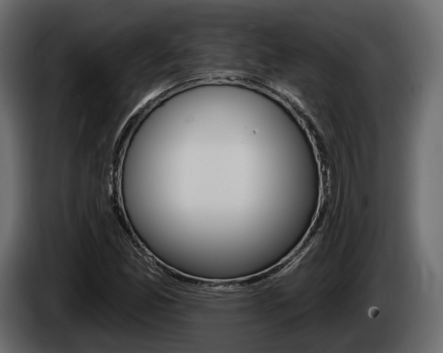 X0000085021165200703050931