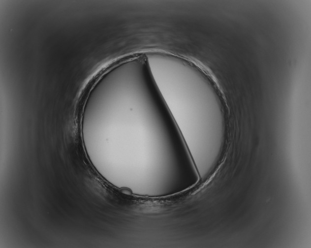 X0000085021167200703050931