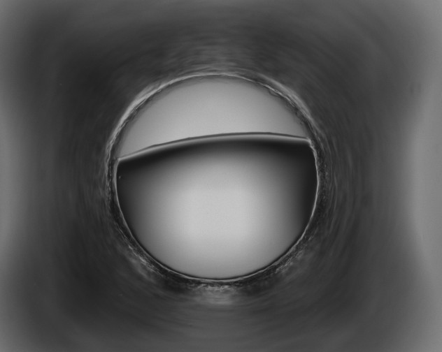 X0000085021168200703050931