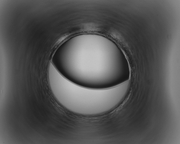 X0000085021169200703050931