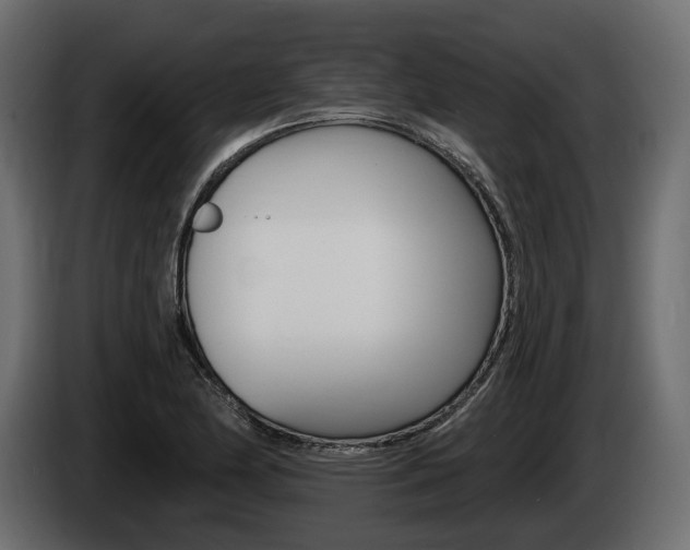 X0000085021174200703050930