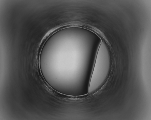 X0000085021176200703050930