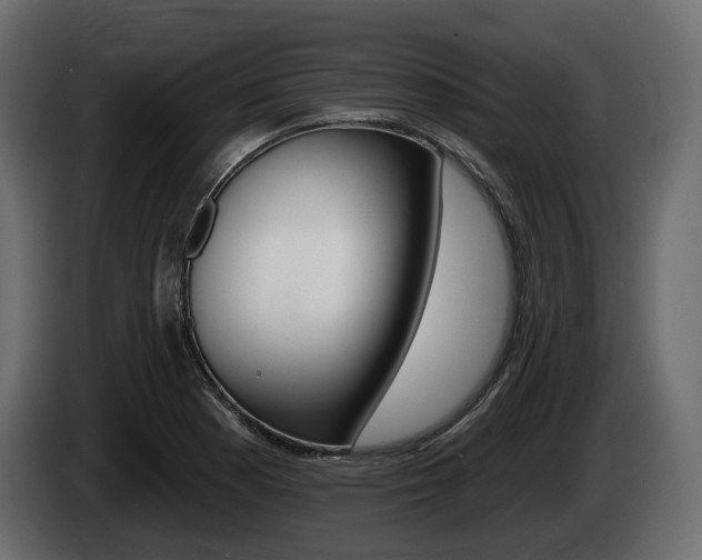 X0000085021177200703050930