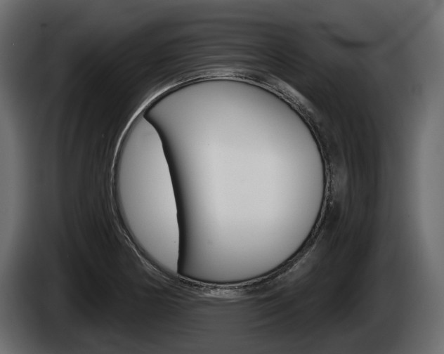 X0000085021178200703050930