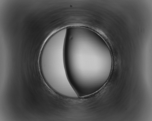 X0000085021181200703050930