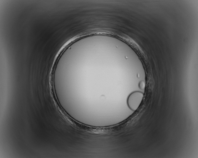 X0000085021182200703050930