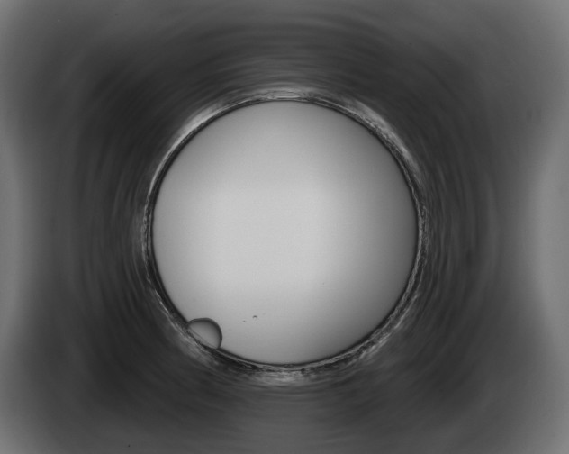 X0000085021186200703050930