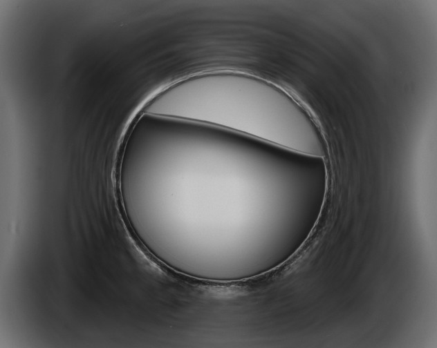 X0000085021189200703050930