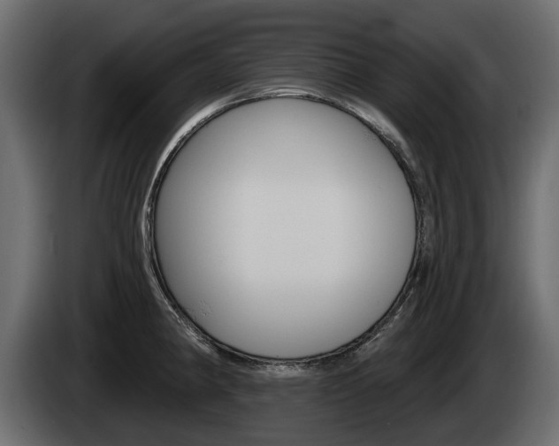 X0000085021190200703050930