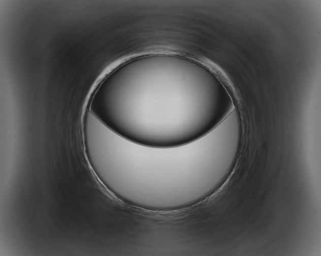 X0000085021192200703050930