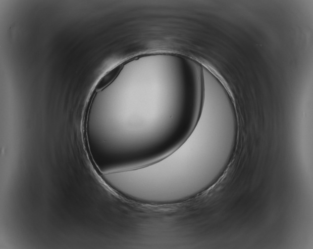 X0000085021197200703050930