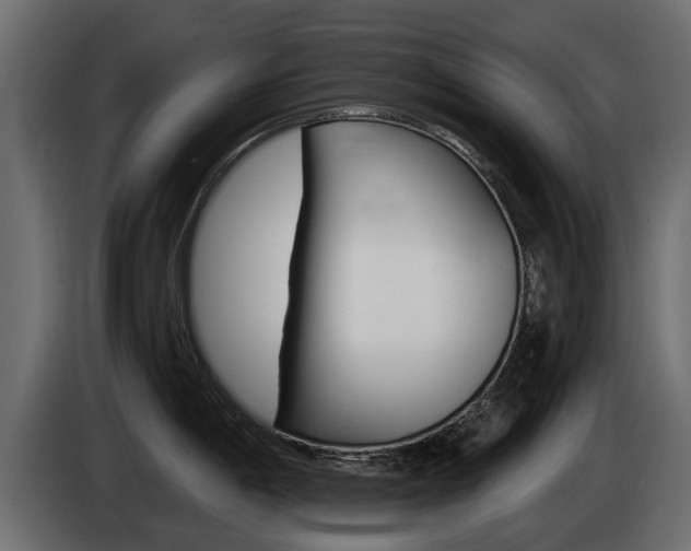 X0000085021198200703050930