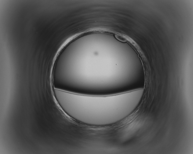 X0000085021199200703050930