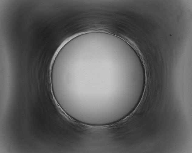 X0000085021200200703050930